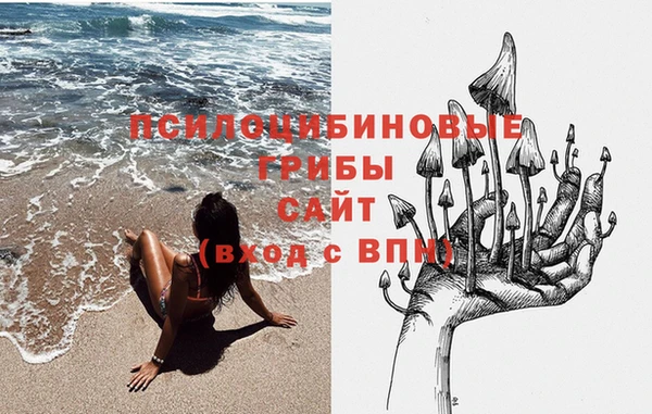 ГАЛЛЮЦИНОГЕННЫЕ ГРИБЫ Каменск-Шахтинский