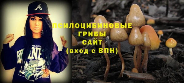 ГАЛЛЮЦИНОГЕННЫЕ ГРИБЫ Каменск-Шахтинский