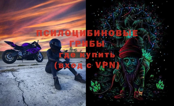 прущая мука Каменногорск